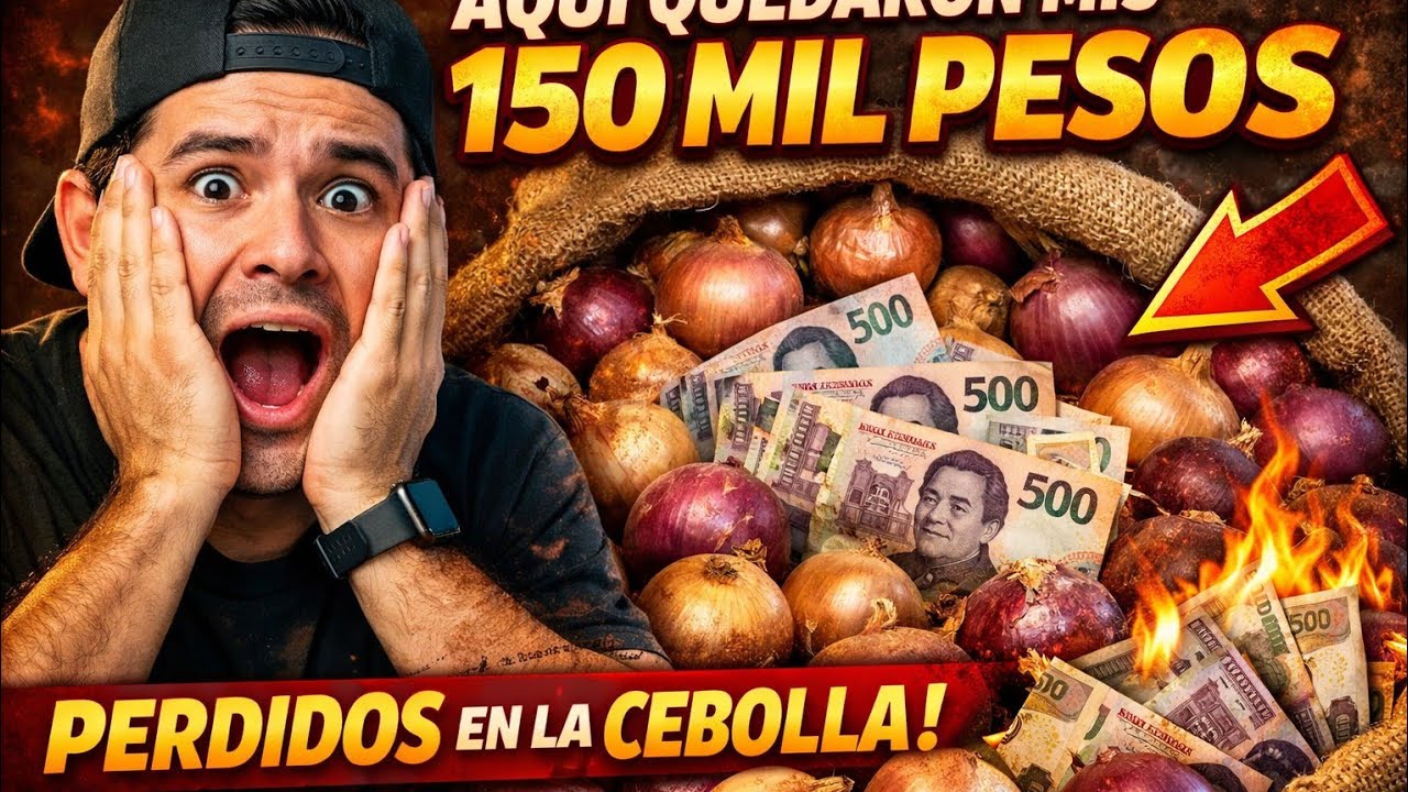 Aqui quedaron mis 150 mil pesos de inversión nadie las quiere las cebollas 