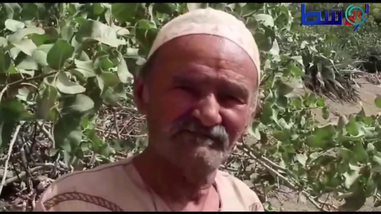 حياة ضنكا للشيخ بوزيان داخل كوخ في دوار الرجايم بعمي موسى بمدينة غليزان