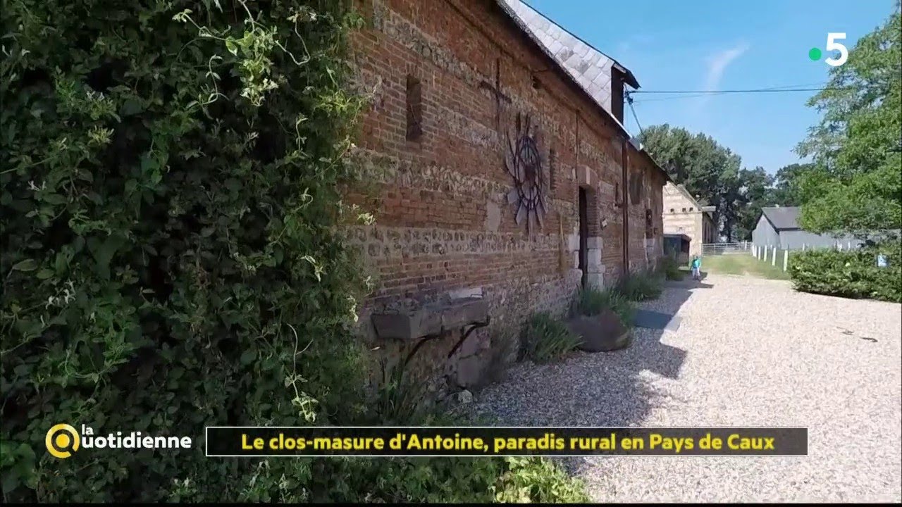 Le clos-masure d'Antoine, paradis rural en Pays de Caux - La Quotidienne