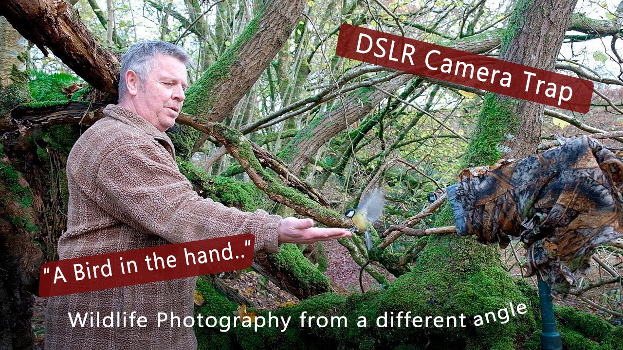 DSLR Camera trap - 