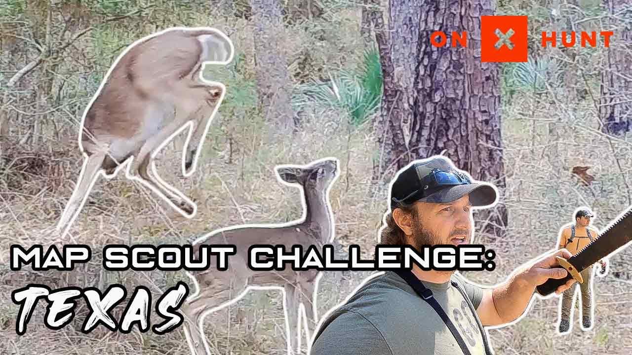 TONS OF BUCK SIGN on PUBLIC LAND! | Huge East Texas Hunting Tract | Davy Crockett National Forest