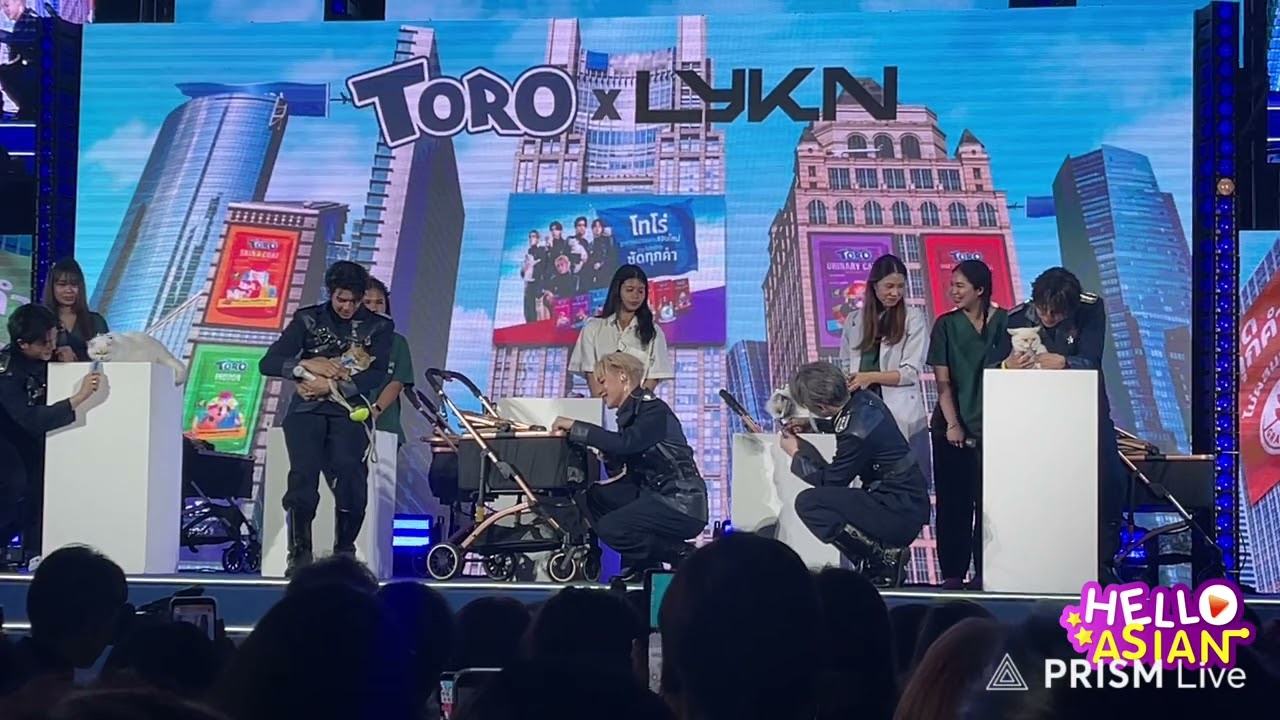 ช่วงเปิดตัวน้องแมวสุดน่ารักของน้องๆ 