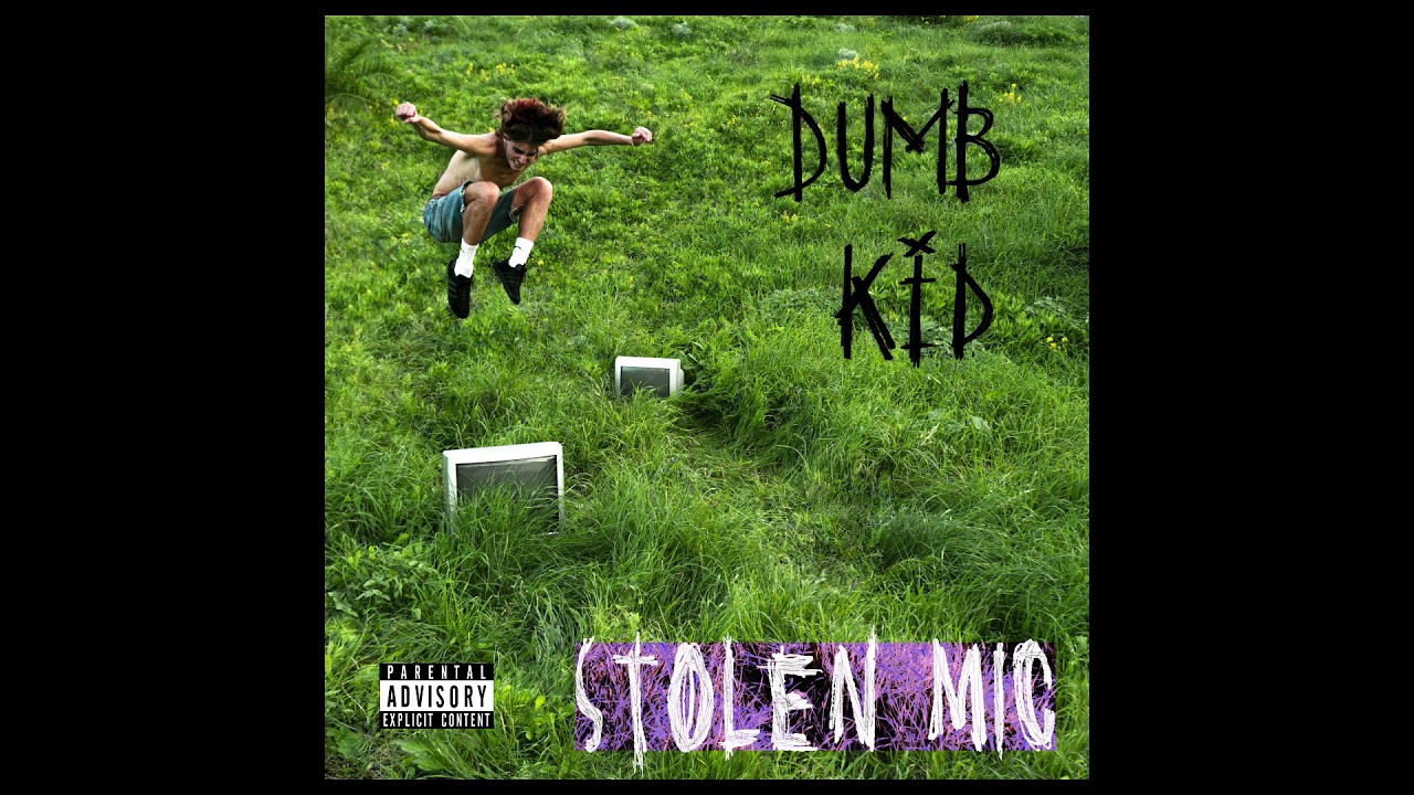 STOLEN MIC - FLY