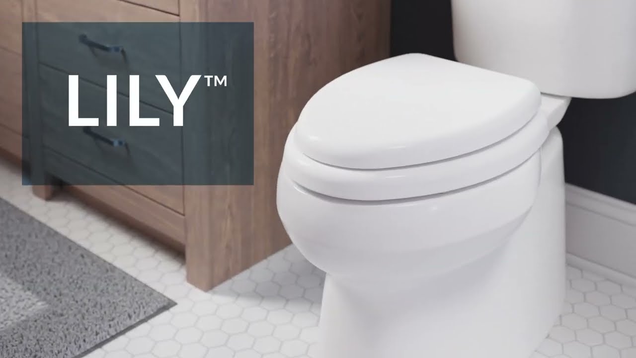 Bemis Lily Soft Seat with Stay·Tite, Easy·Clean + Antimicrobial