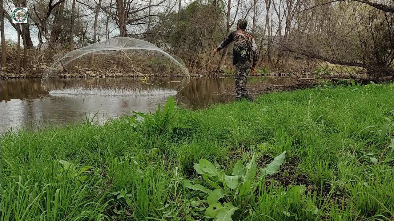 Riachuelo de agua cristalina plagado de carpas gigantes y tilapias