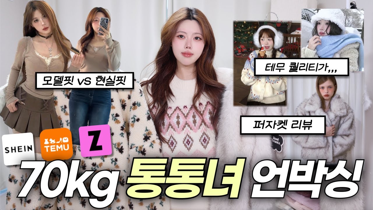 리얼 현실핏 보여드림🚨 지그재그vs쉬인vs테무 통통녀 100만원 겨울 하울!💸  66 77사이즈 / 빅사이즈 룩북 / 겨울 룩북 | 플러스사이즈 