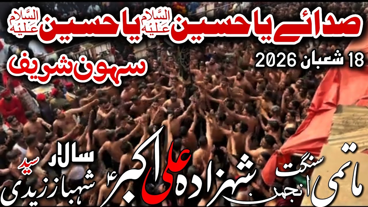 Ya Hussain Ya Hussain 18 Shaban Sehwan 2026 Matami Sangat Anjuman Pursa Shazada Ali Akbar 