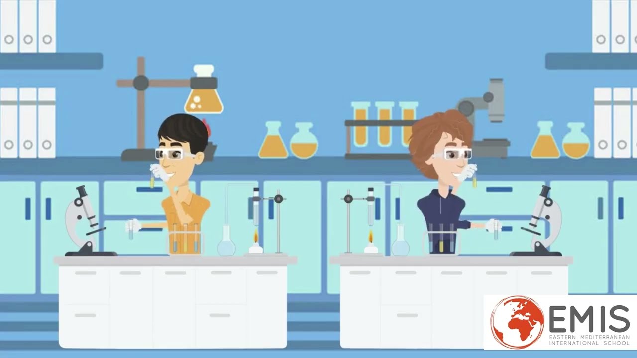 What is EMIS? - Animation