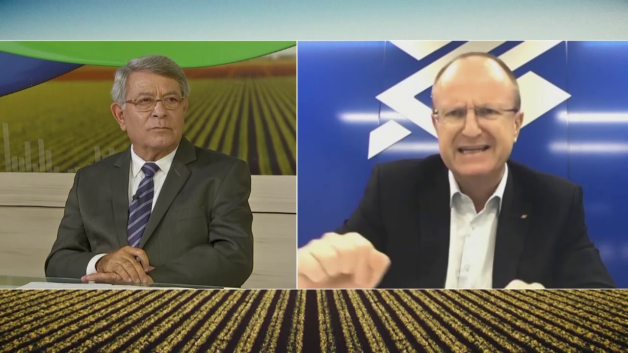 SAFRA 2020/2021 - financiamentos para o pequeno e m&eacute;dio produtor