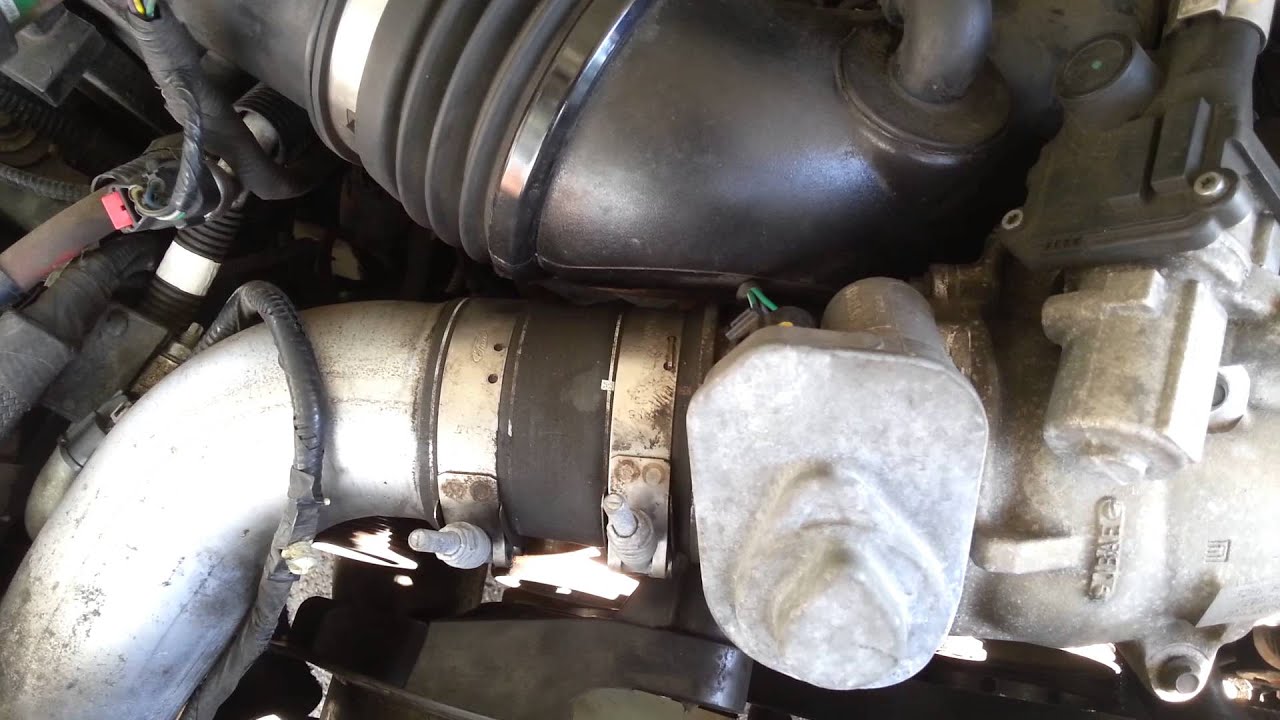 6.4 powerstroke belt