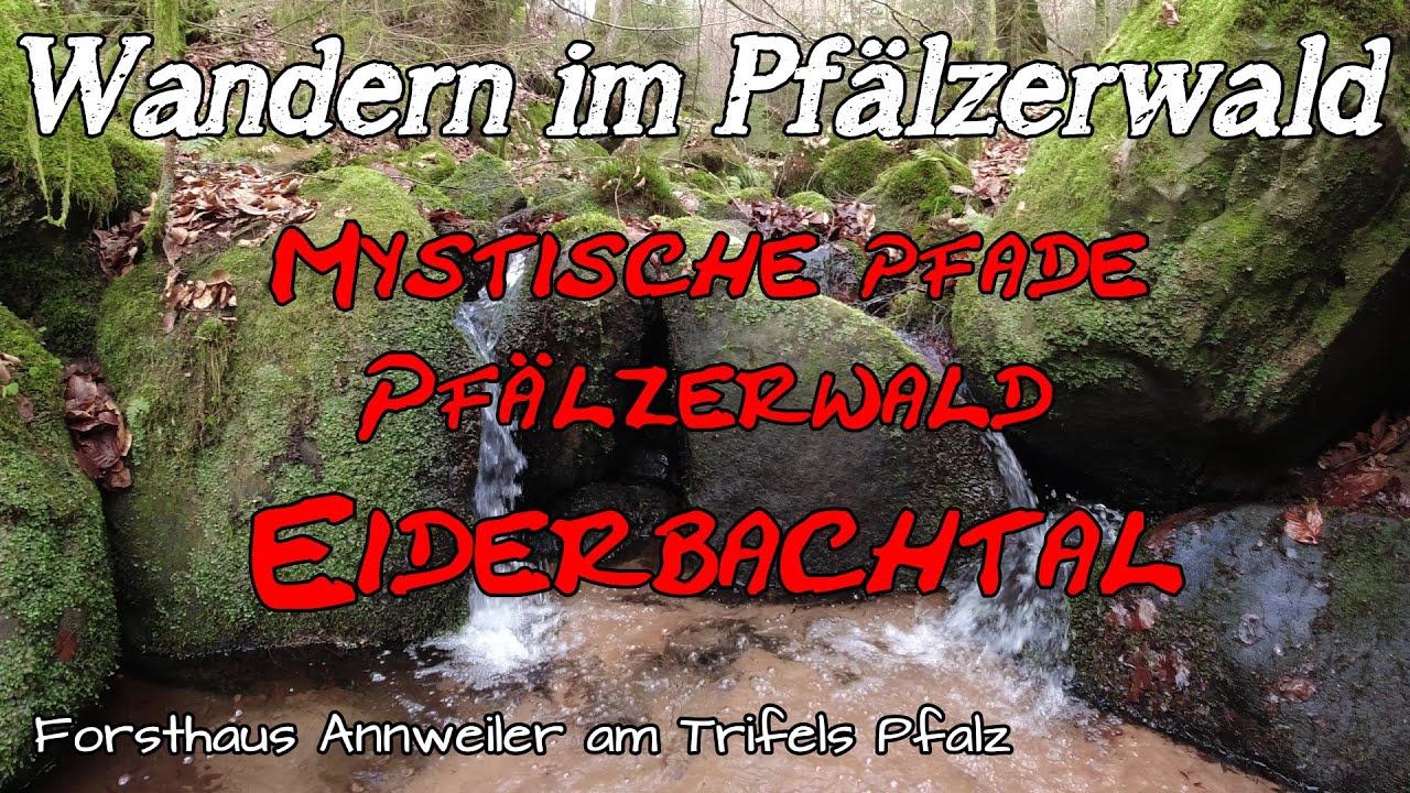 Eiderbachtal | Eins der schönsten Täler im Pfälzerwald | Annweiler Forsthaus | Wandern | Pfalz | DE