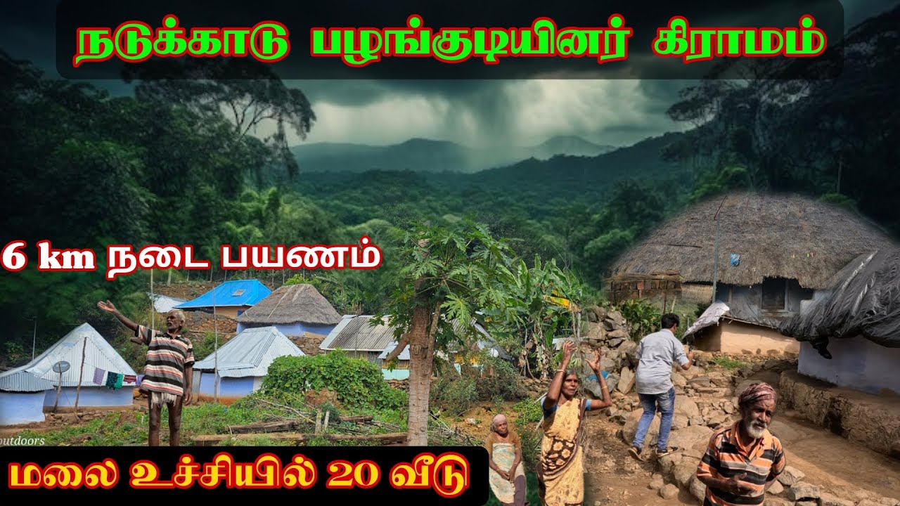 மலை உச்சியில் 20 வீடுகள்|நடுக்காடு கிராமம்|6km நடக்க வேண்டும்|tribal village