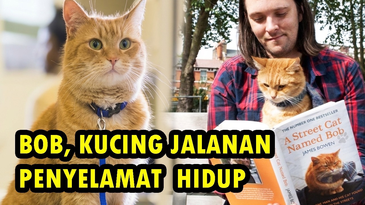 KISAH TENTANG BOB SI KUCING JALANAN