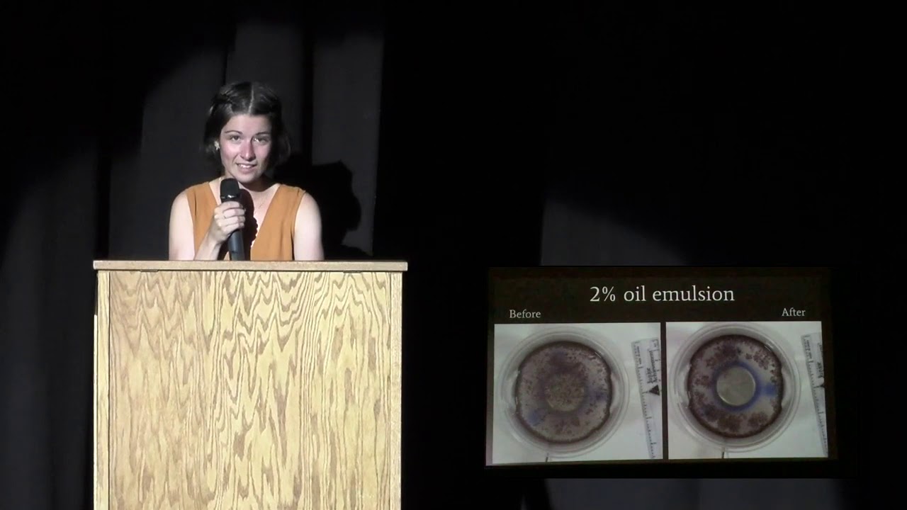 ERIEx: Cleaning up the Mess: Solving Oil Pollution with Sound Waves