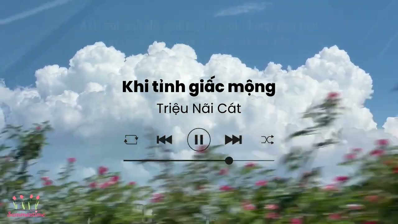 [Vietsub] Khi tỉnh giấc mộng (夢醒時分) - Triệu N&atilde;i C&aacute;t (cover)