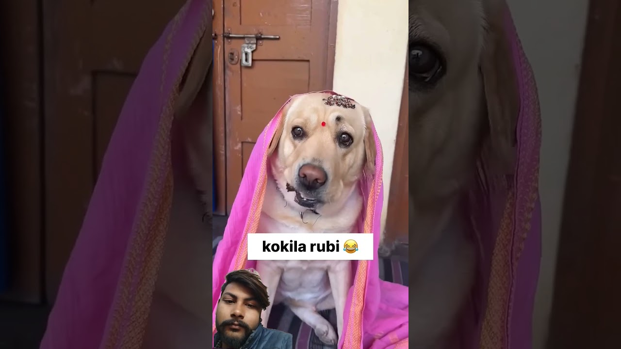 kokila rubi 😂 || labra rubi || 
