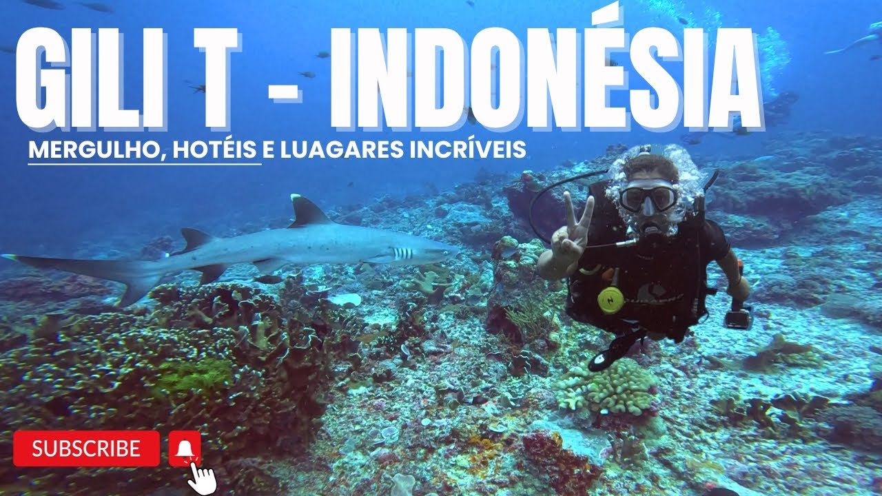 Explorando Gili Trawangan - Mergulho com Tubarões e Tartarugas na Indonésia!