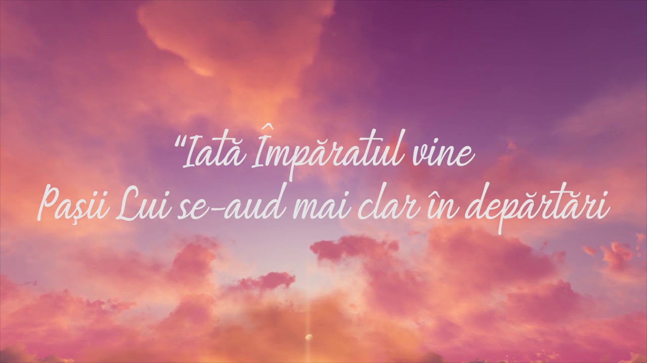 Ligia Bodea - Sunt străjerul care strigă (Videoclip cu versuri)