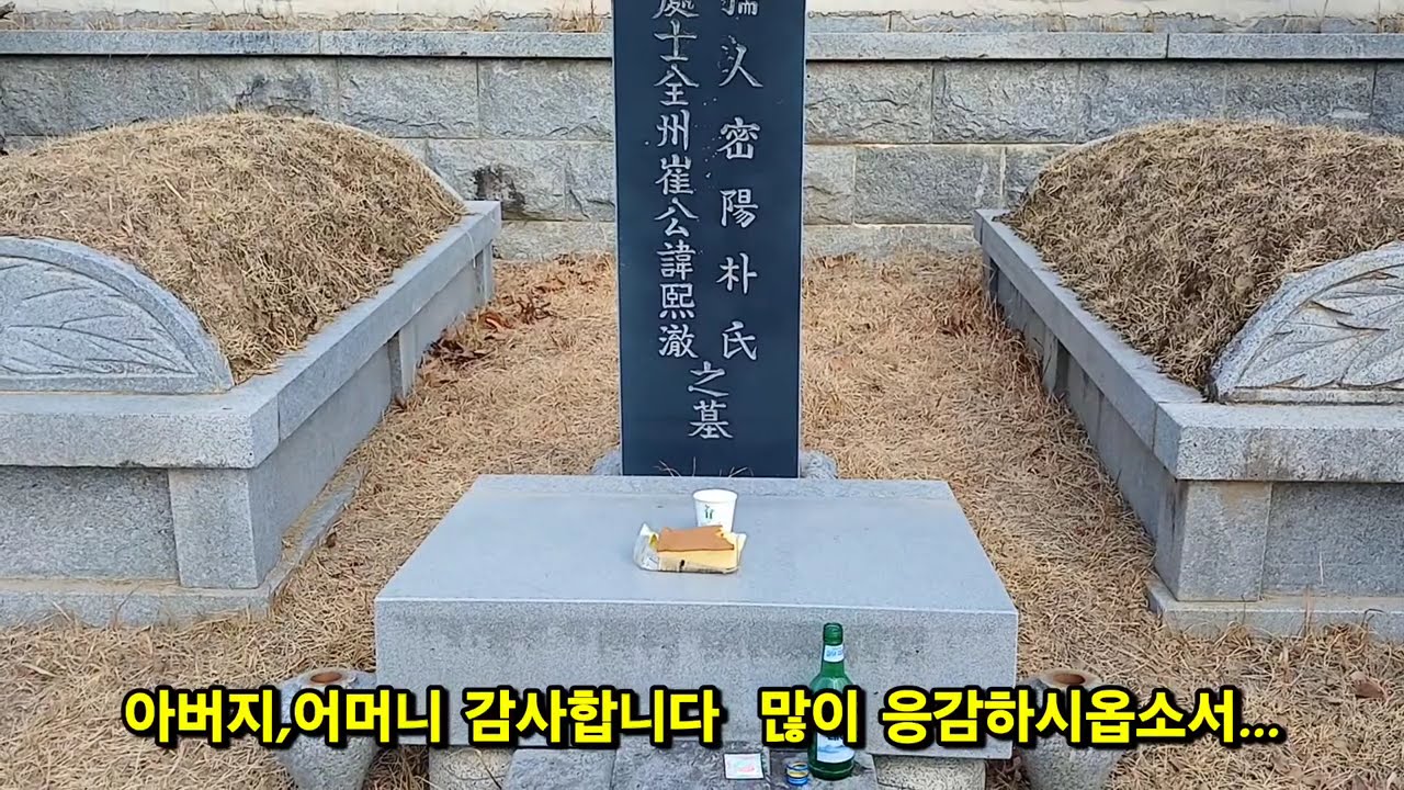 260217 설날 아침에 성묘하러 가다