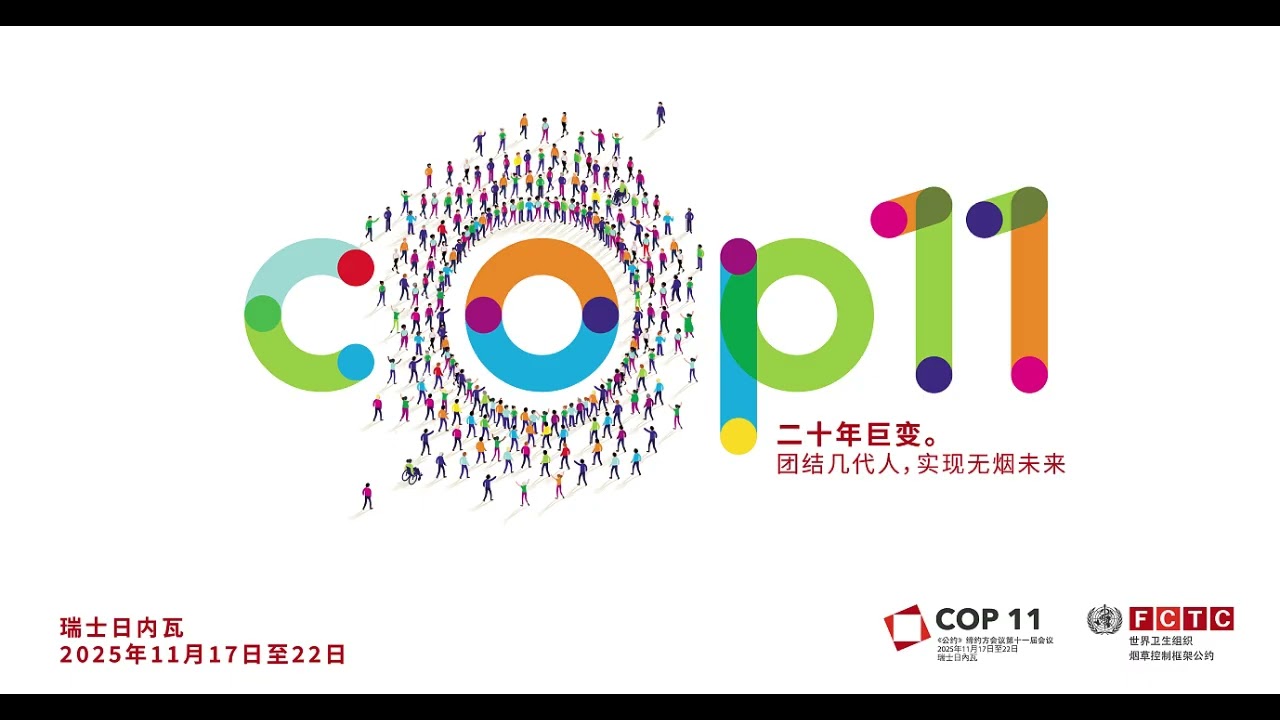 第6天（A委员会 – B委员会 – 全体会议）– 下午会议