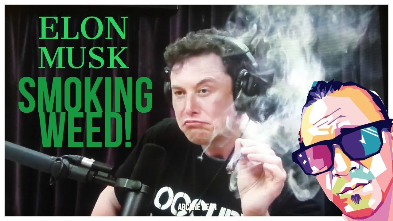 Elon Musk Smokes Weed w. Joe Rogan /  MY REACTION & Public Opinions!