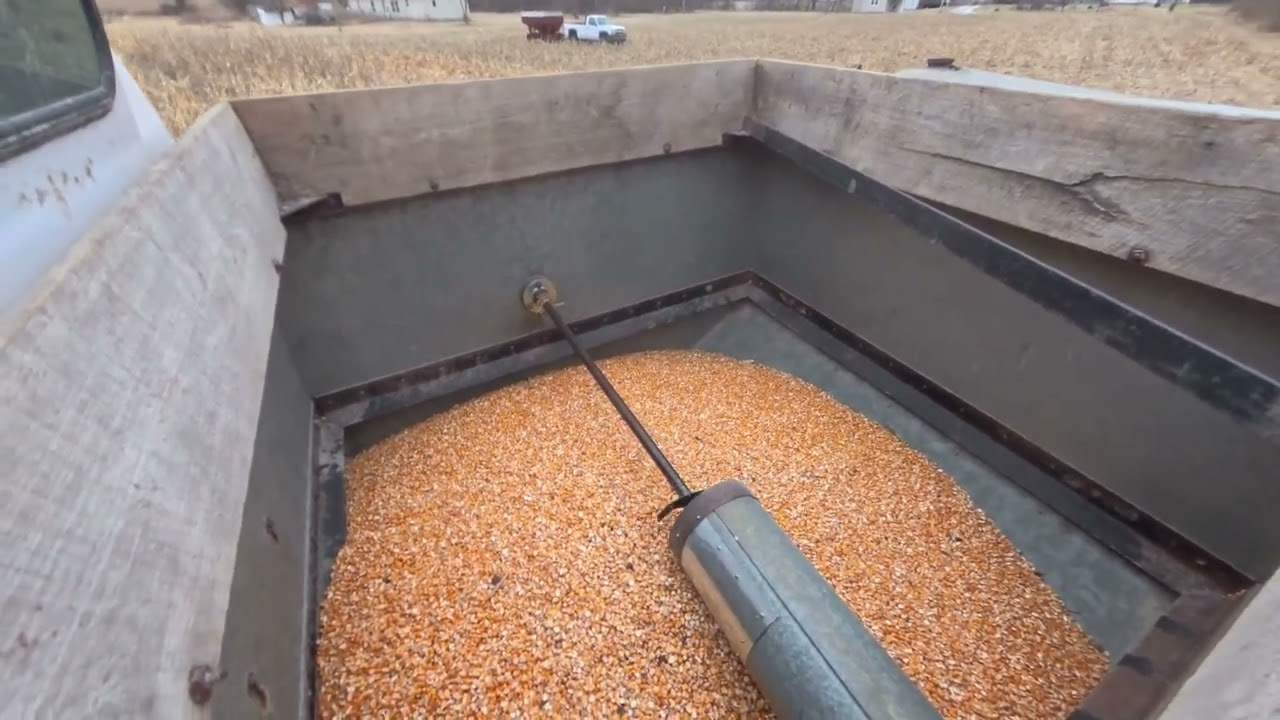 Finishing My 2025 Corn in 2026!