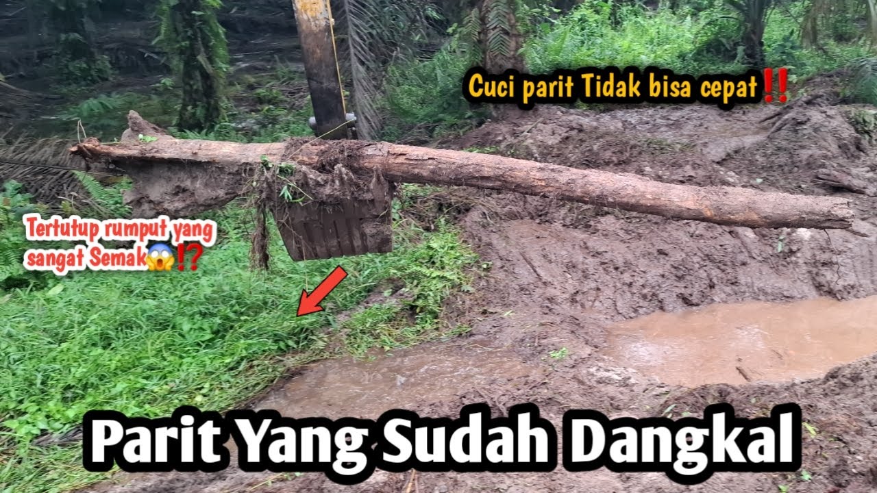 Cuci parit Tidak bisa Cepat‼️Parit yang Sudah Dangkal||Tertutup rumput yang sangat Semak😱⁉️