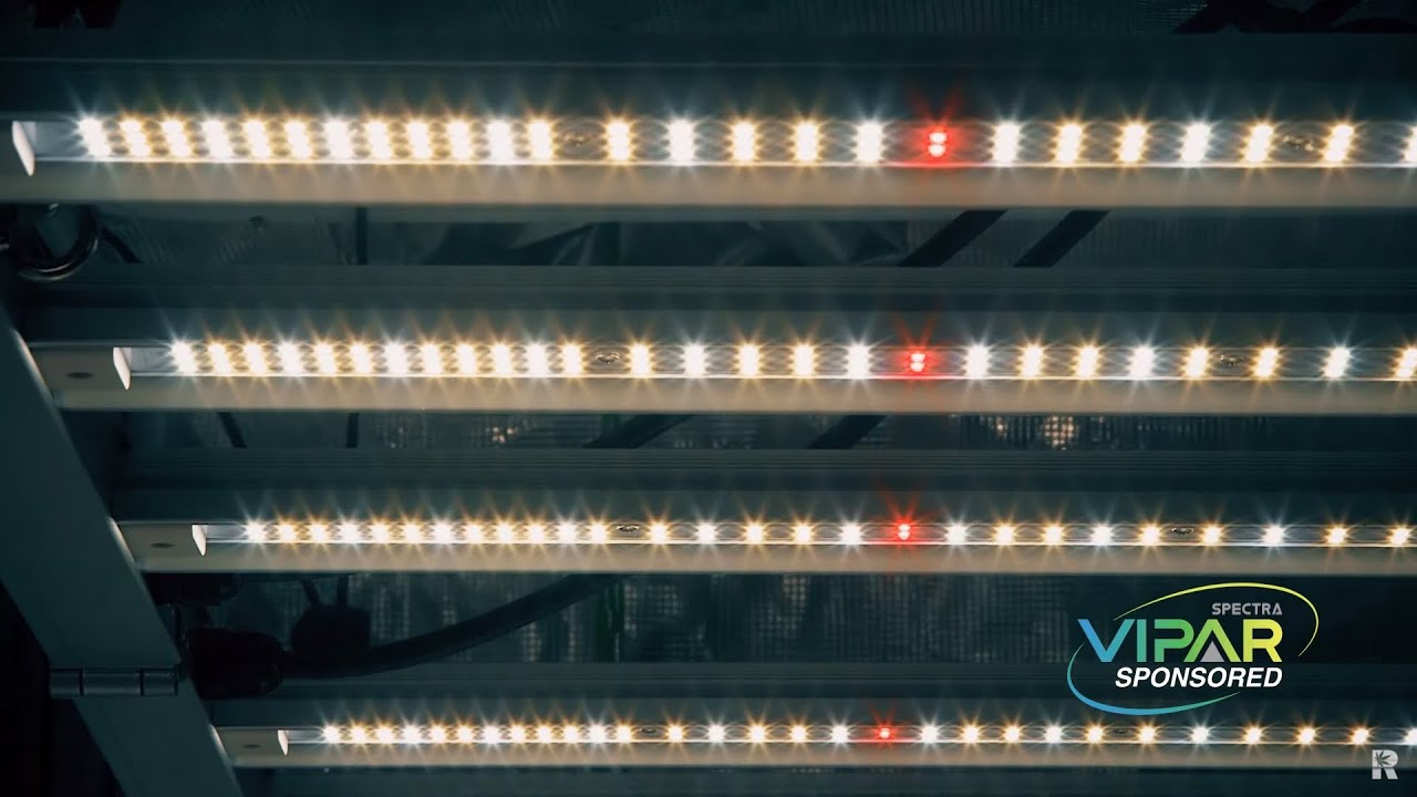 ViparSpectra KS5000 LED Grow Light Product Spotlight