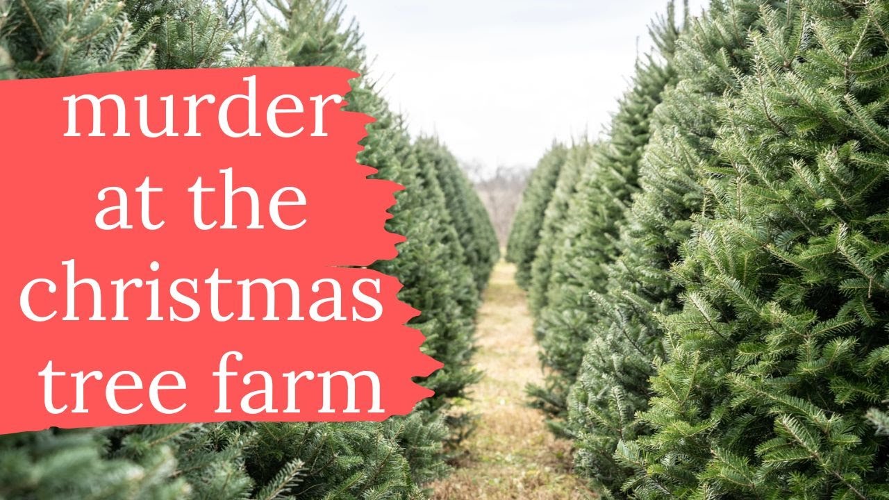 murder at the christmas tree farm | a cold case solved without DNA | ed & minnie maurin