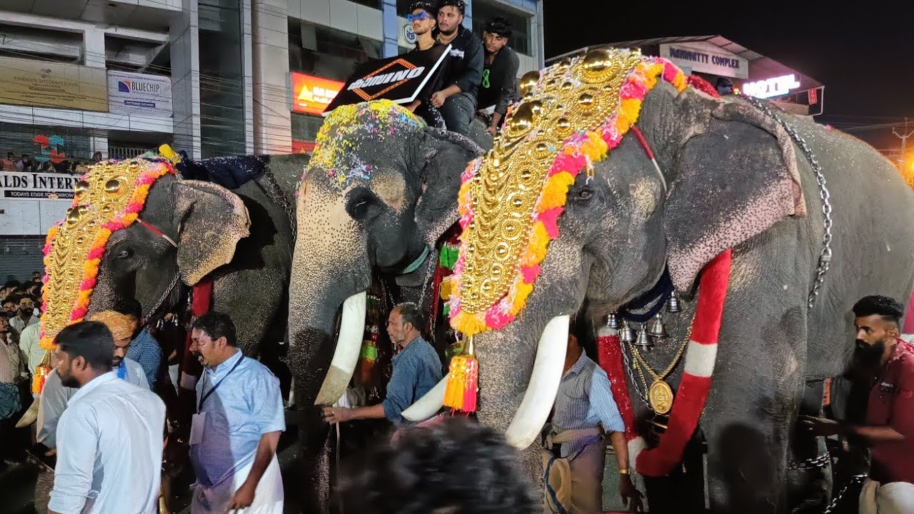 KALIYAROAD NERCHA 2023 കളിയാറോഡ് നേർച്ച March 11 2023