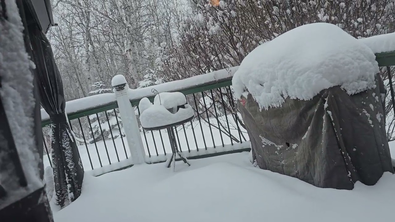 What's the Major doing with the Kat? And what's that white stuff again?