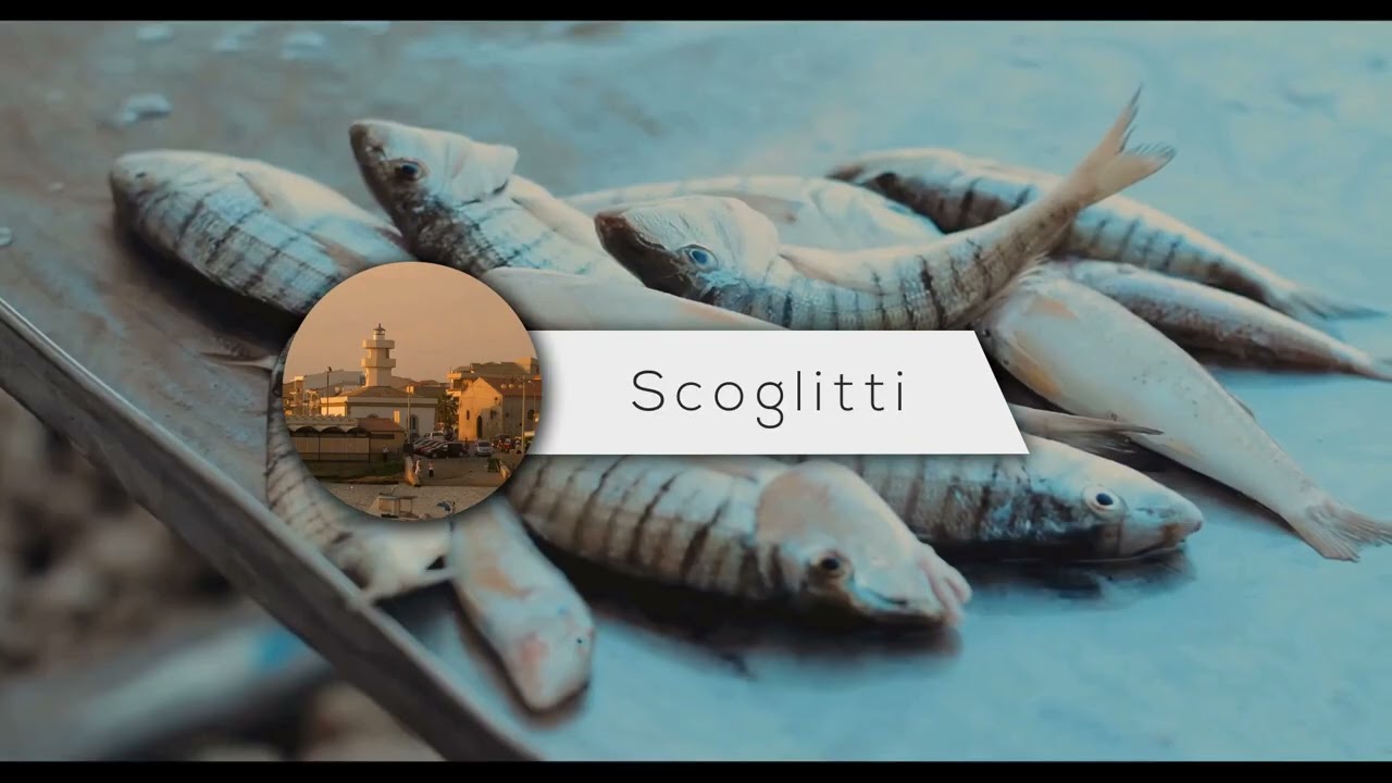 presentazioneerasmus2026