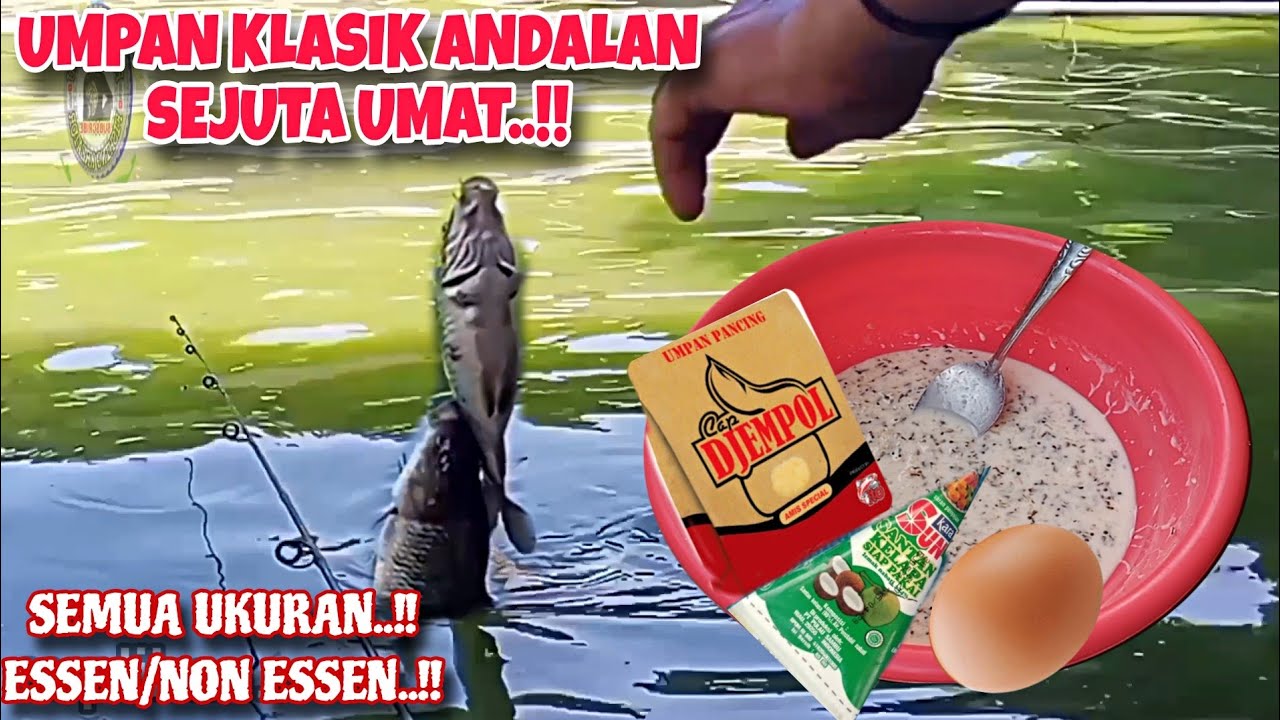 FULL UMPAN KLASIK 3 SDM UMPAN SEJUTA UMAT || APAKAH ANDA TERMASUK ?? UMPAN IKAN MAS HARIAN & LOMBA