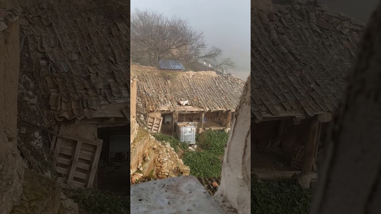 Curiel de Duero 4