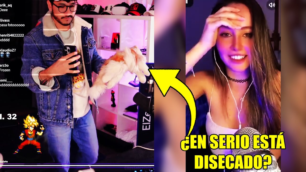 Una CHICA ARGENTINA se SORPRENDE por ver a GRUMPY DISECADO🤣