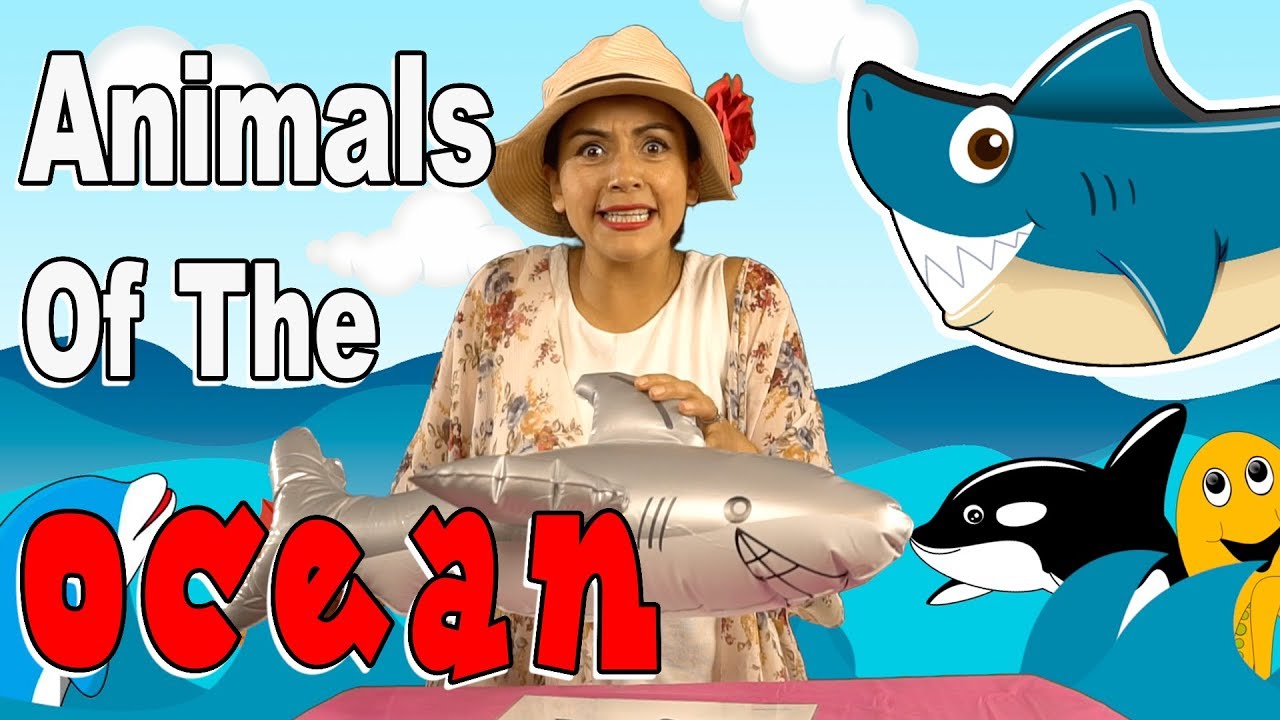 Animals Of The Ocean | Language Learners