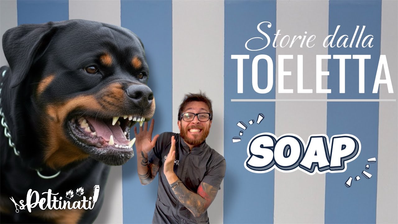 Il rottweiler più SPAVENTOSO che abbia mai visto