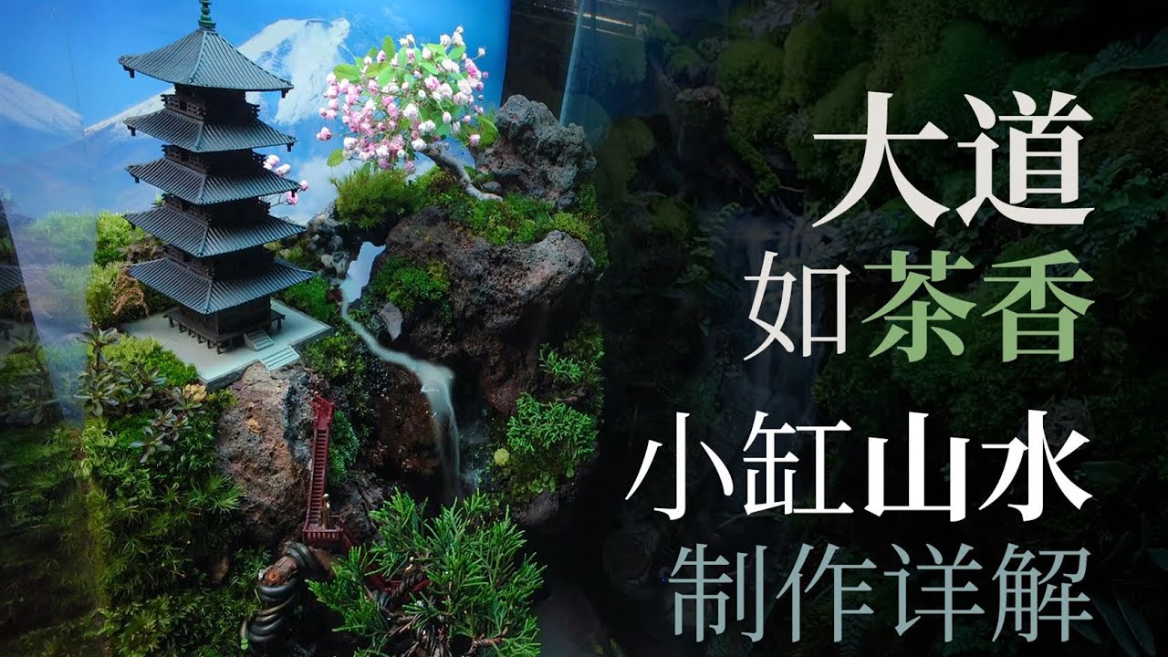 大道如茶香，小缸山水景觀製作詳解【野趣三川Leon】