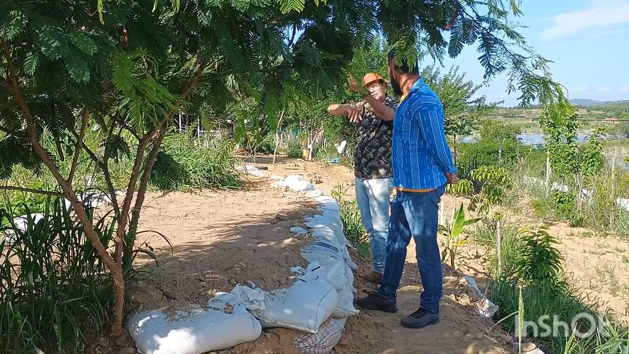 Chico encontra cawboy falando só.