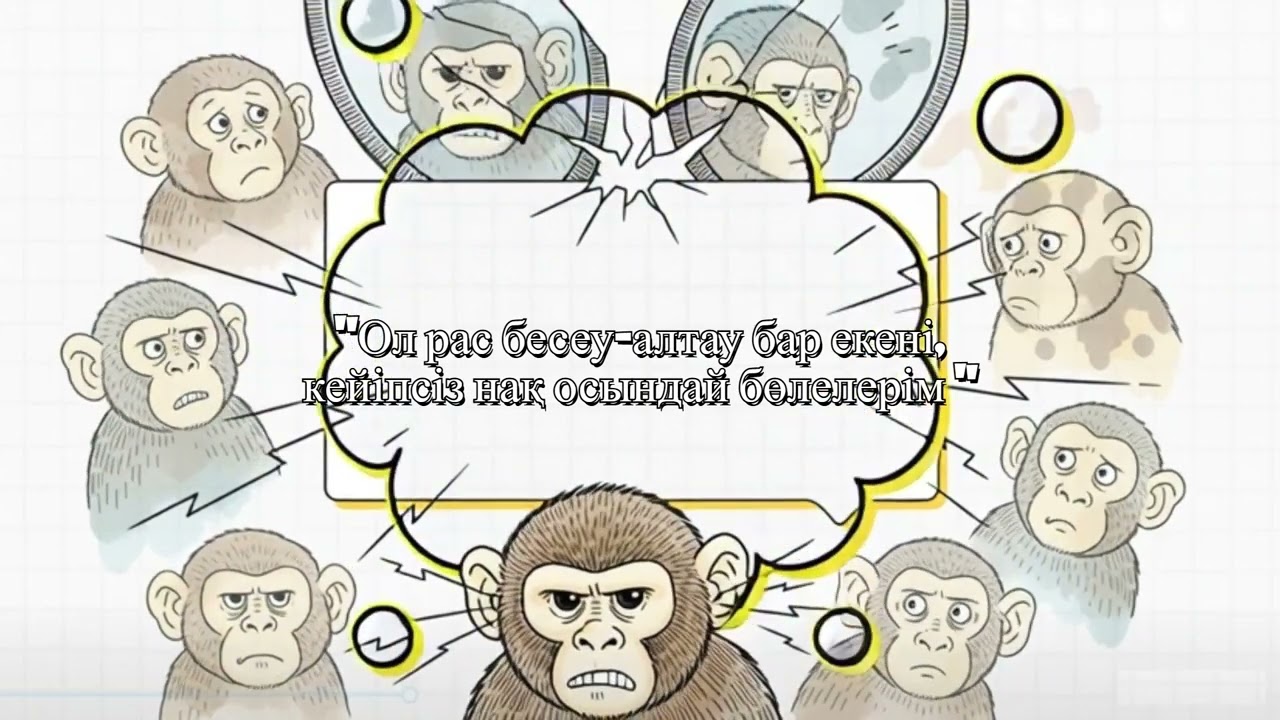 1.Айна мен маймыл