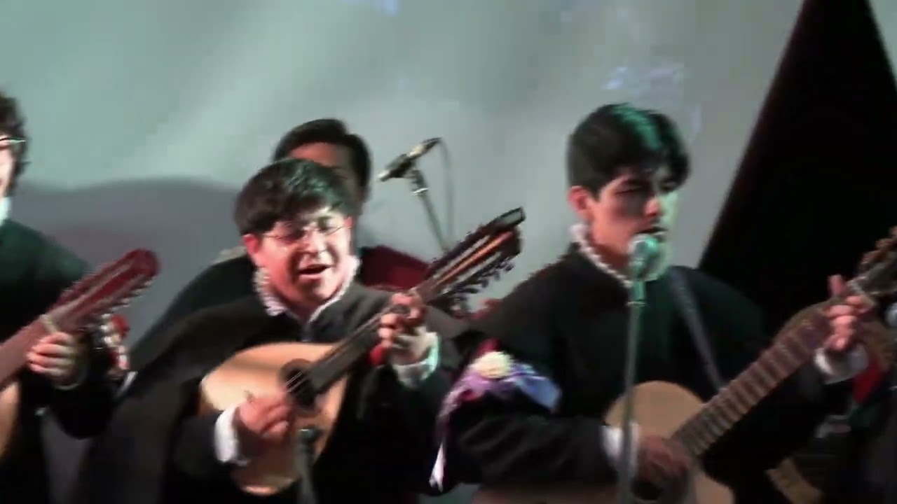 ALMA LLANERA (Joropo venezolano)