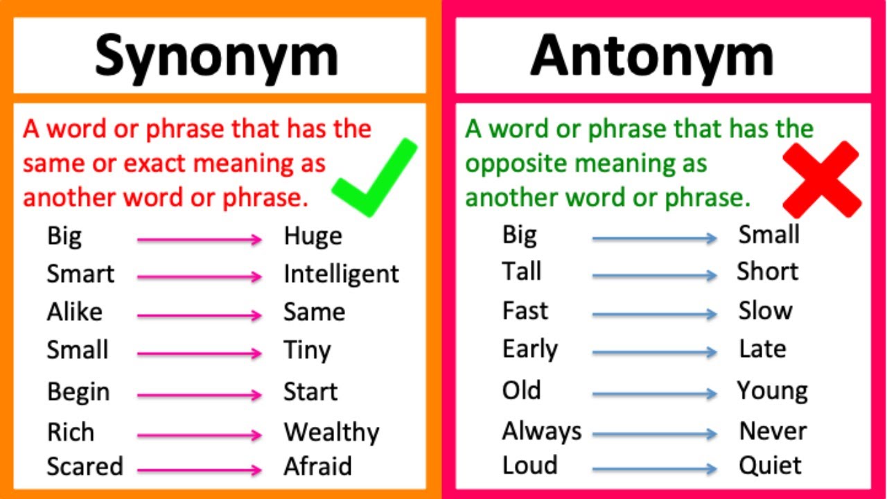 SYNONYM vs ANTONYM 🤔 | What's the difference? | Learn with examples