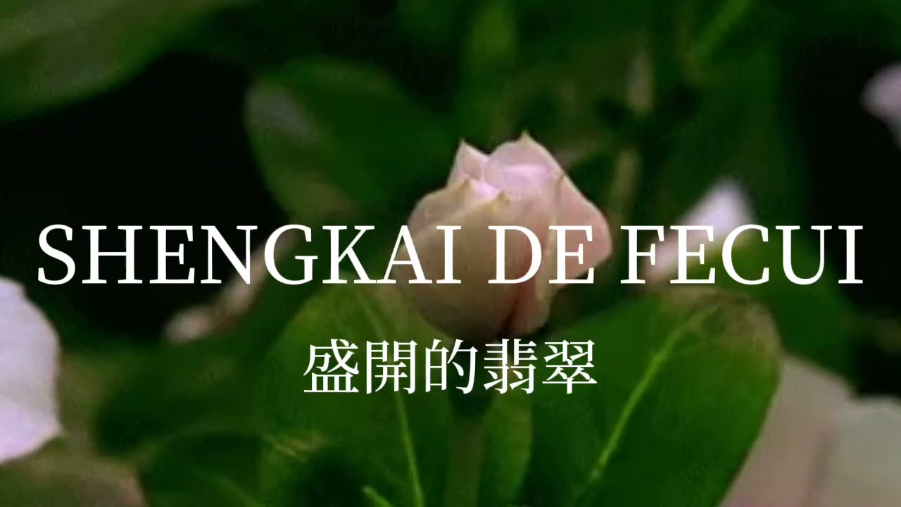 KHRISTIAN - SHENGKAI DE FECUI (Official Visualizer)