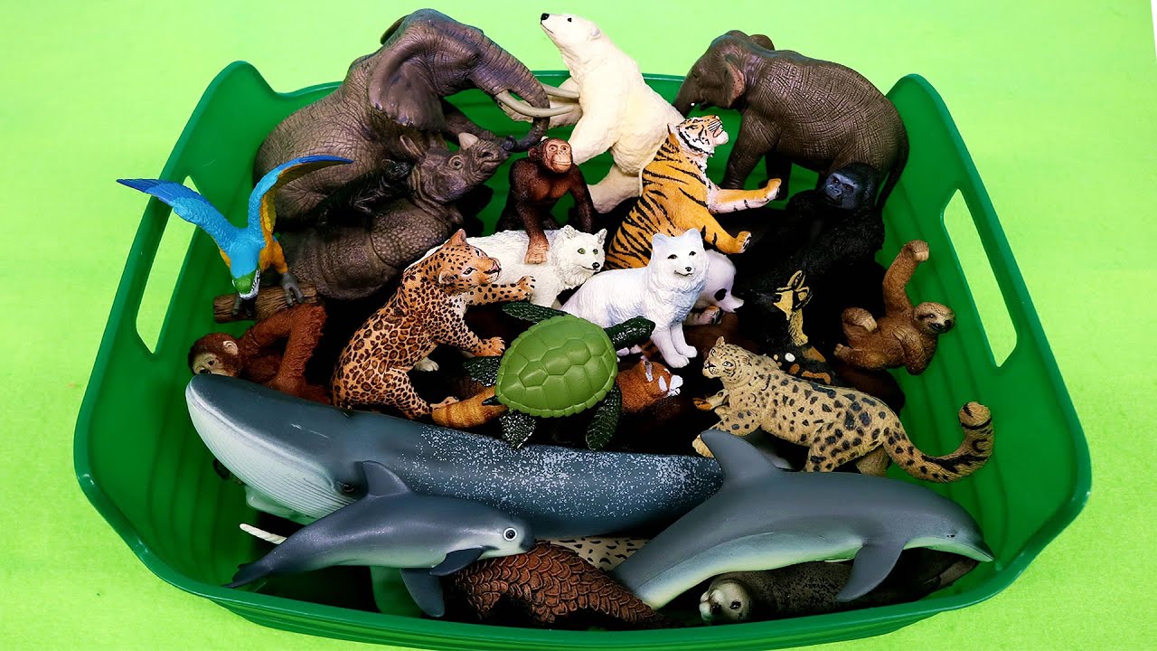Beautiful Endangered Animals!  Learn Animal Names with Figurines