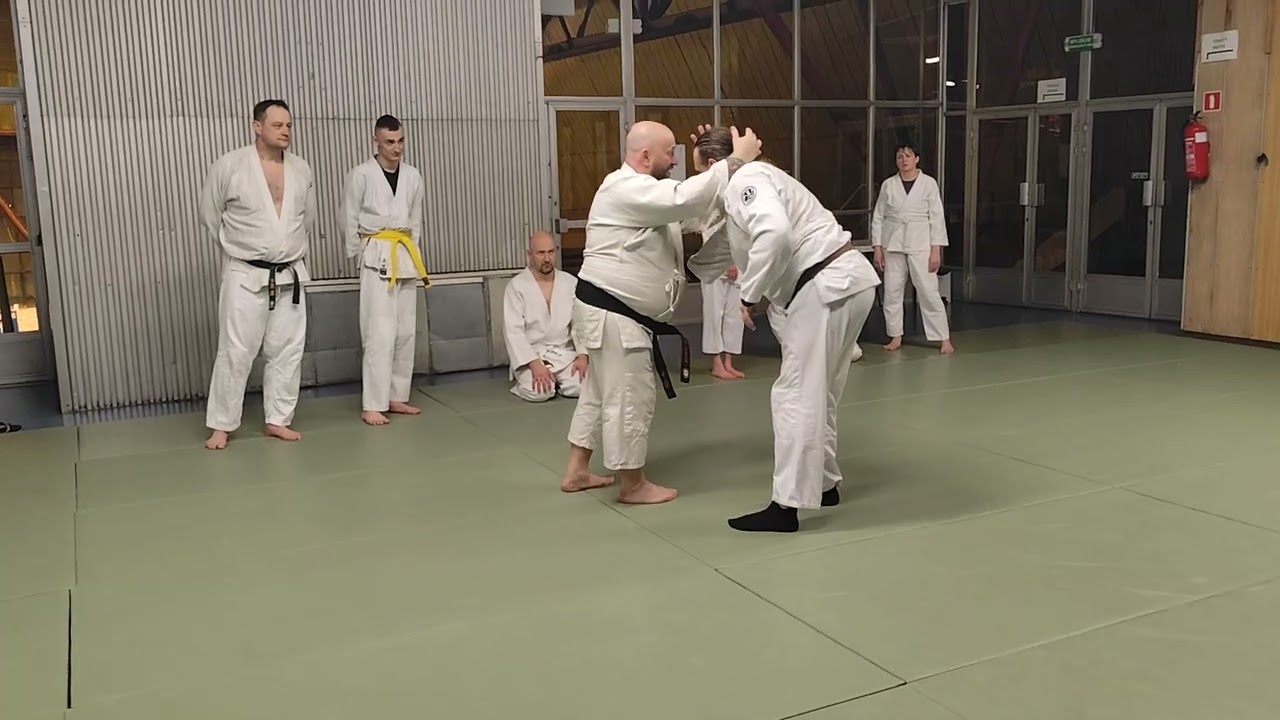 Training in Bujinkan Dojo Kamil Krzemiński Shihan 7 dan AYF 