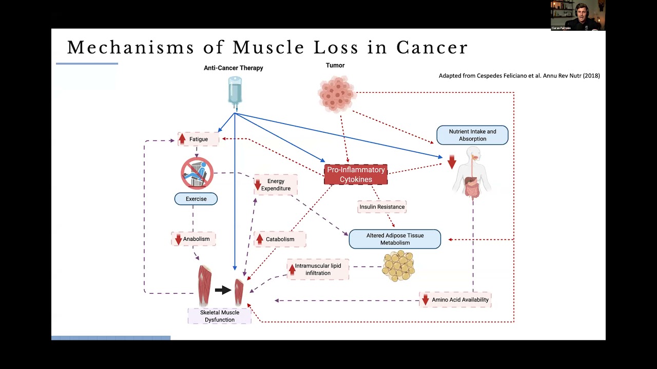 IEPRS Conference 21 | Role of Resistance Training in Cancer Care: Rationale Evidence and  Directions