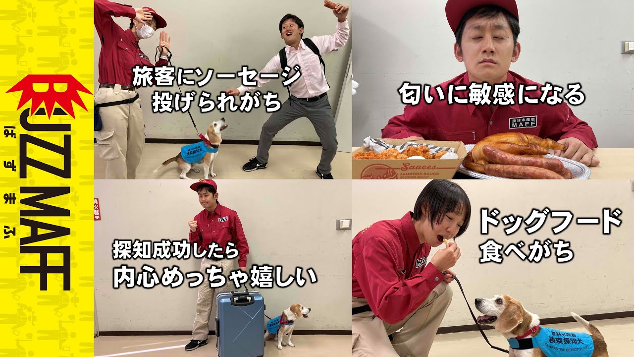 ~家畜防疫官あるある~　ﾀｶﾞﾔｾｷｭｳｼｭｳ