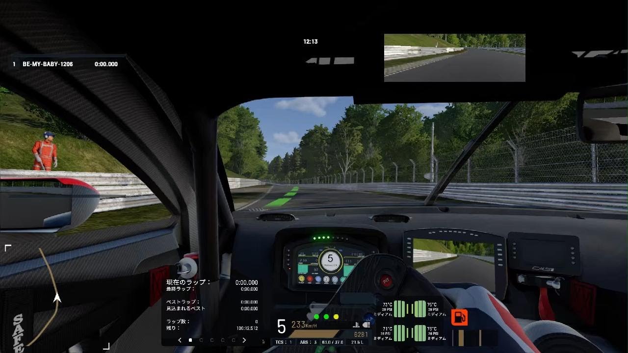 [PMR] Project Motor Racing  Nur 24H