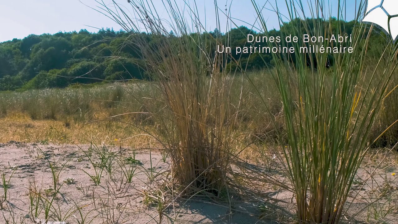 dunes de Bon-Abri : un patrimoine millénaire