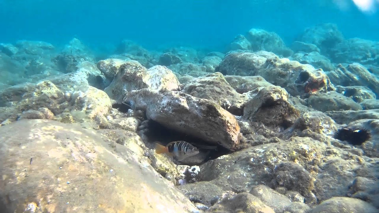 Snorkel Cala Del Corralete